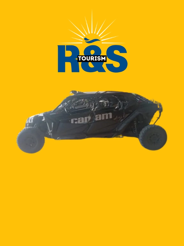 Thrilling Buggy Ride