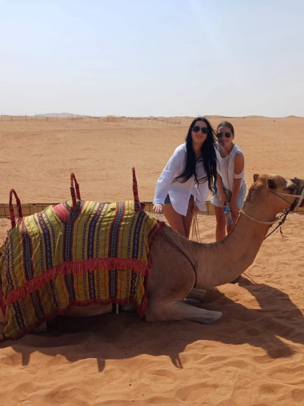 Camel posing in the serene morning desert landscape