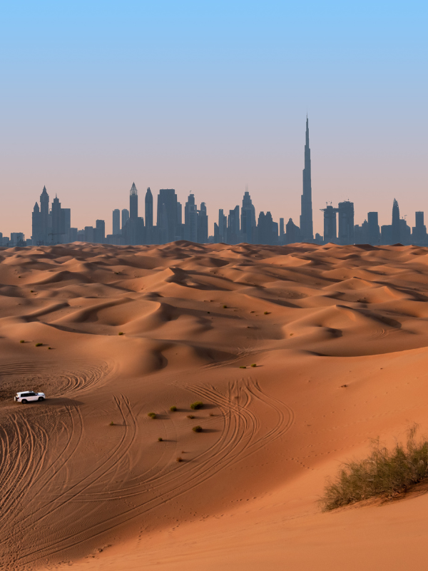 Dubai Desert Safari Tour