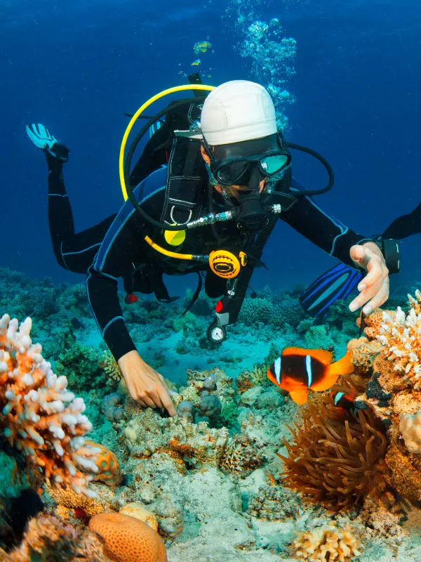 Scuba Diving Dubai